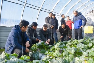 战风沙、斗酷暑，肃州戈壁滩变身“聚宝盆”——农业科学研究纪实