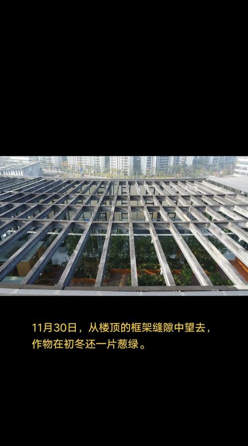 立体之上 成都20层垂直植物工厂里的农业科研新刻度