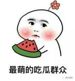 娱乐吃瓜君被多次投诉,屡遭投诉，真相与争议背后的网络风云